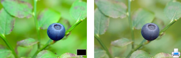 Nature 2