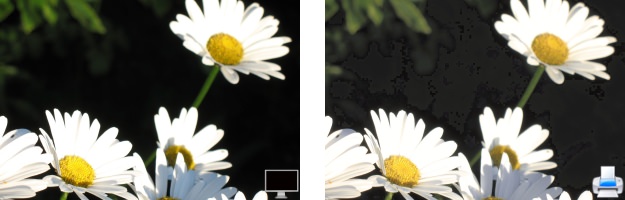 Nature 5