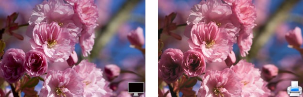 Nature 7