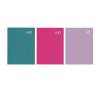 3483 A5 2027 Week to View Diary Pink/Purple/Teal