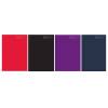 3887 Academic Diary A4 Week To View Black/Blue/Purple/Red