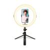 Agfa Photo 11-inch Bluetooth LED Desktop Ring Light (ARL11)