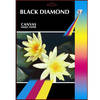 Black Diamond Canvas A4 Professional Grade Photo Paper