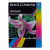 Black Diamond Gloss Resin Coated 7x5\" Professional Grade Photo Paper 240gsm - 50