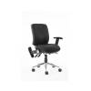 Dynamic Chiro Office Chair Padded Seat and Backrest Adjustable And Folding Arms
