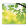 Fellowes Earth Series Mouse Pad - Leaves