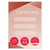 GBC Organise Gloss Laminating Pouches A4+ Pre-punched Pack of 100 (3743156)