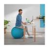 Leitz Ergo Cosy Active Sitting Ball Calm Blue (52790061)