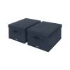 Leitz Fabric Storage Box with Lid for A4 Documents Foldable Pack of 2 (70867AC)