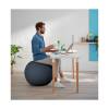 Leitz Ergo Cosy Active Sitting Ball Velvet Grey (52790089)