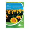 Neo Media Matt A4 Inkjet Photo Paper 128gsm - 100 Sheets