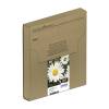 Epson 18 Ink Cartridge Multipack