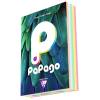 Clairefontaine Papago A4 80gsm Mixed Ream of Pastel Colours (500 Sheets)
