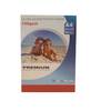 Premium A4 Ultra Gloss Inkjet Photo Paper (150gsm) 100