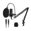 ProSound XLR Microphone with Boom Arm Kit, Cardioid Polar Pattern - 018PAM