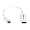 StarTech Mini DisplayPort to HDMI Video Converter Adapter 4K 30Hz