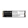 Team 256GB MS30 M.2 SATA Internal SSD (TM8PS7256G0C101)