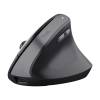 Trust Bayo II mouse Medical Right-hand RF Wireless Optical 2400 DPI