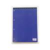 ValueX A4 Refill Pad 70gsm Ruled 160 Pages Blue Pack of 10 (67890VCx10)