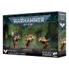 Warhammer 40,000 - Blood Angels Sanguinary Guard
