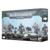 Warhammer 40,000 - Space Wolves: Wolf Guard Headtakers